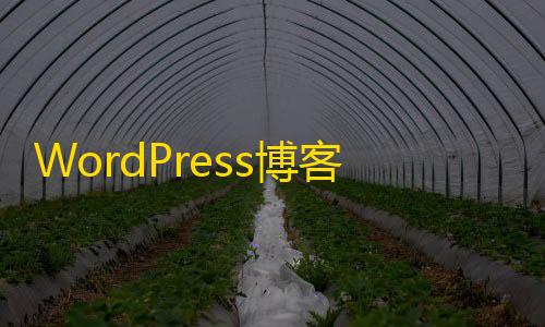 ress博版下载页面插件Xydown美化客独立资源